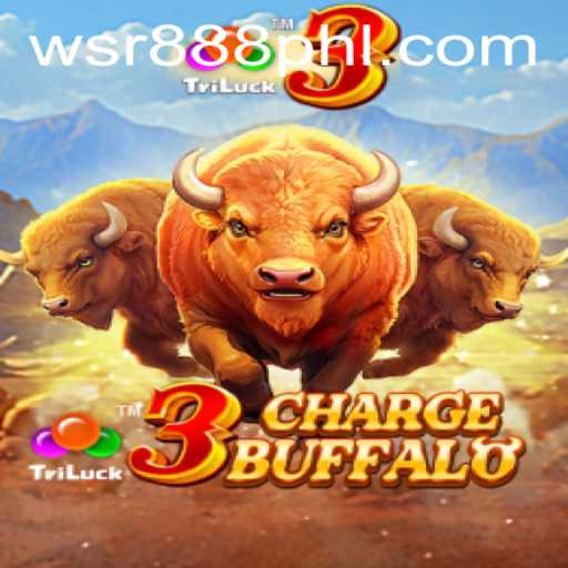 Unleashing the Excitement of 3ChargeBuffalo at WSR Casino